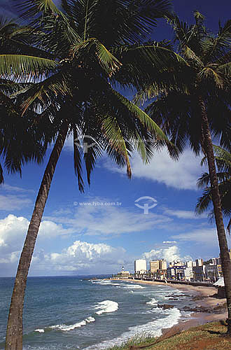  Praia do Farol com o Farol da Barra ao fundo - Salvador - BA - Brasil  - Salvador - Bahia - Brasil