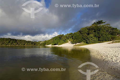  Parque Metropolitano da Lagoa e Dunas de Abaeté - Salvador - BA - Brasil  - Salvador - Bahia - Brasil