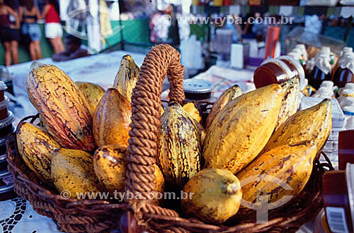  Cesto com frutas de cacau - Ilhéus - Costa do Cacau - litoral sul da Bahia -  Brasil - 2004  - Ilhéus - Bahia - Brasil