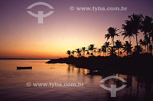  Silhueta de barco e coqueiros no rio perto de Alcobaça - Costa das Baleias - litoral sul da Bahia - Brasil  - Alcobaça - Bahia - Brasil