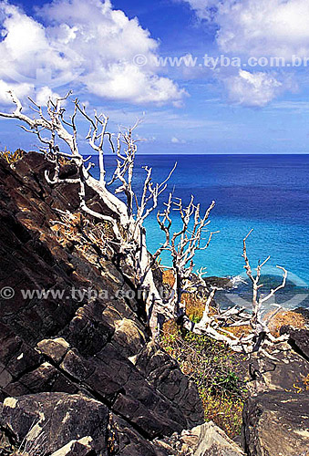  Paisagem - Fernando de Noronha  - PE - Brasil

  O arquipélago Fernando de Noronha é Patrimônio Mundial pela UNESCO desde 16-12-2001.  - Fernando de Noronha - Pernambuco - Brasil