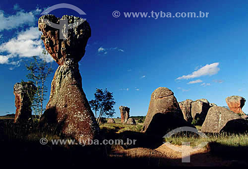  Vila Velha - PR - Brasil  - Vila Velha - Paraná - Brasil