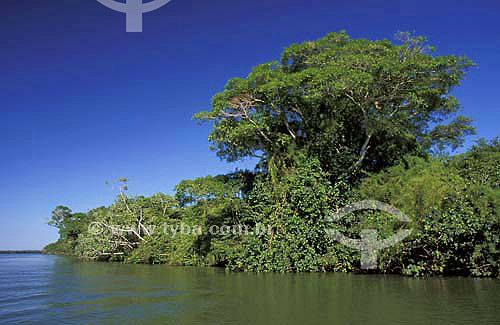  Ilha Capivara - Parque Nacional de Ilha Grande - Paraná - Brasil - Abril de 2004  - Paraná - Brasil