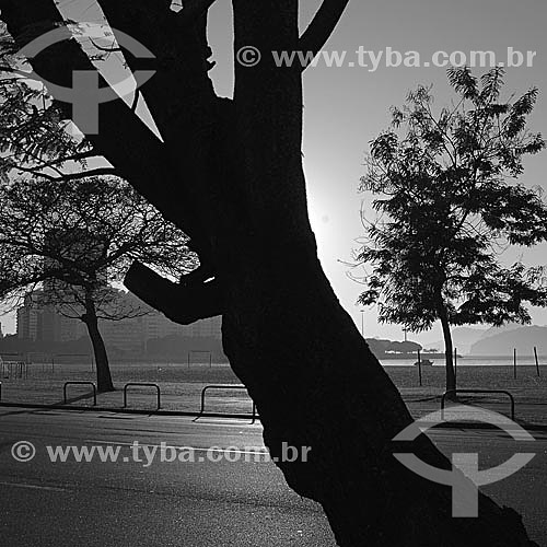  Bairro de Botafogo com tronco de árvore em primeiro plano - Rio de Janeiro - RJ - Brasil - obs.:foto digital  - Rio de Janeiro - Rio de Janeiro - Brasil