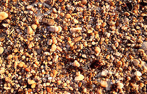  Detalhe das pedras misturada à areia em Cabo Frio - Costa do Sol - Região dos Lagos - RJ - Brasil  - Cabo Frio - Rio de Janeiro - Brasil