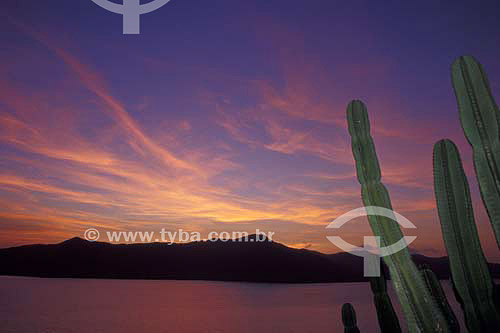  Entardecer na Lagoa da Conceição - Florianópolis - Santa Catarina - Brasil - Junho de 2003  - Florianópolis - Santa Catarina - Brasil