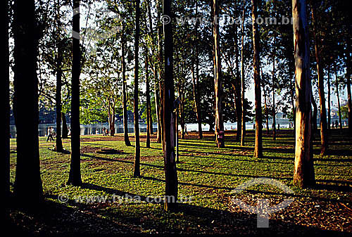  Parque Ibirapuera - SP - Brasil  - São Paulo - São Paulo - Brasil