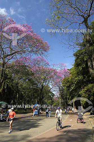  Crianças brincando no Parque do Ibirapuera - São Paulo - SP - Brasil  - São Paulo - São Paulo - Brasil