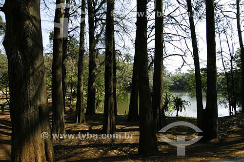  Parque Chico Mendes - Osasco - SP - Brasil  - Osasco - São Paulo - Brasil