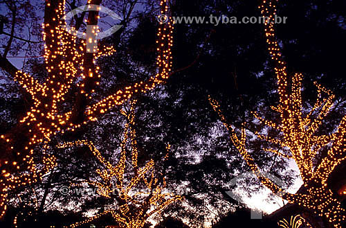  Árvore iluminada, com decoração de  Natal 