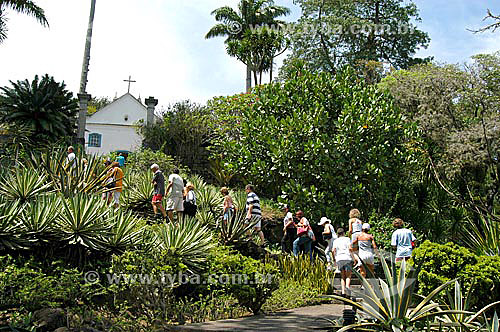  Visitantes no Sítio Roberto Burle Marx  - Barra de Guaratiba - Rio de Janeiro - RJ - Brasil  O sítio é Patrimônio Histórico Nacional desde 04-08-2003. obs.: foto digital  - Rio de Janeiro - Rio de Janeiro - Brasil