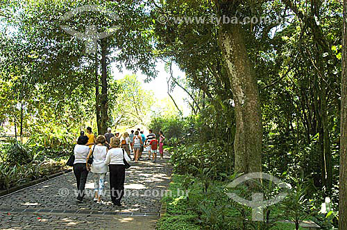  Visitantes no Sítio Roberto Burle Marx  - Barra de Guaratiba - Rio de Janeiro - RJ - Brasil 

 O sítio é Patrimônio Histórico Nacional desde 04-08-2003. obs.: foto digital  - Rio de Janeiro - Rio de Janeiro - Brasil