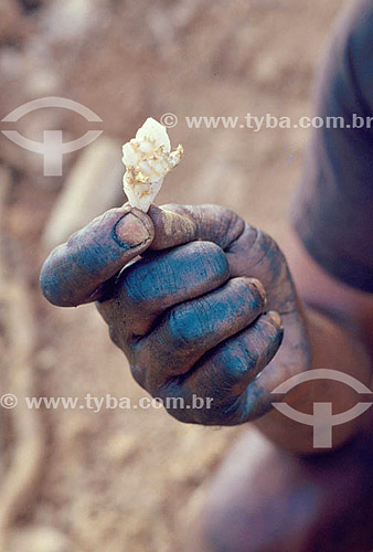  Detalhe de mão segurando uma pepita de ouro em um garimpo 