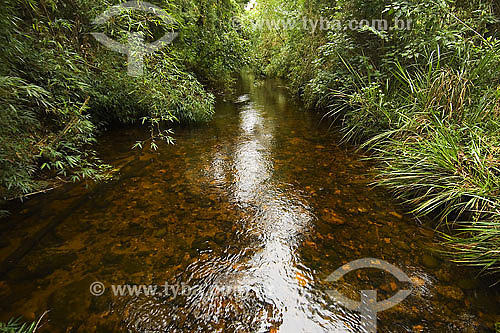  Rio em floresta da Mata Atlântica - Parque Estadual da Serra do Mar - Cunha - SP - Brasil - 01/2007  - Cunha - São Paulo - Brasil