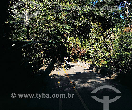  Ciclovia na Floresta da Tijuca - Rio de Janeiro - RJ  - Rio de Janeiro - Rio de Janeiro - Brasil