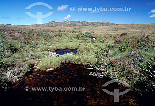  Nascente do Rio São Francisco - Parque Nacional da Serra da Canastra - MG - Brasil.  - Minas Gerais - Brasil