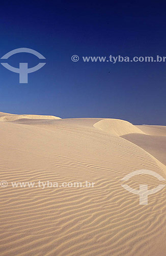  Dunas de areia em Fortaleza - Ceará - Brasil  - Fortaleza - Ceará - Brasil