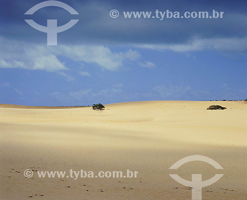  Dunas no Rio Grande do Norte - RN - Brasil  - Rio Grande - Rio Grande do Norte - Brasil