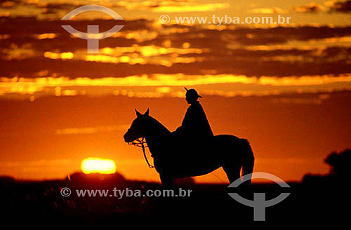  Homem à cavalo no campo ao pôr-do-sol - Sul do Brasil 