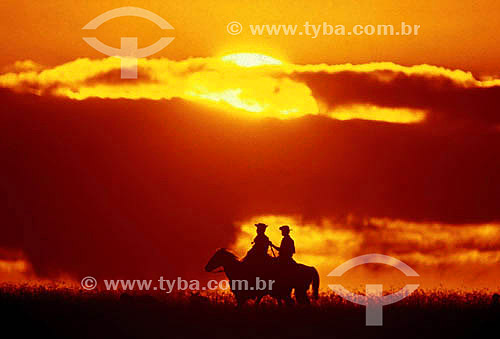  Homens à cavalo no pôr-do-sol - Sul do Brasil 