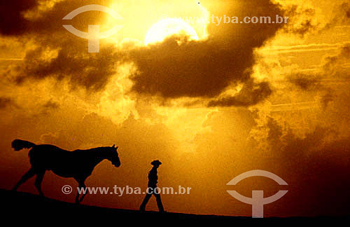  Homem, cavalo e nuvens ao pôr-do-sol 