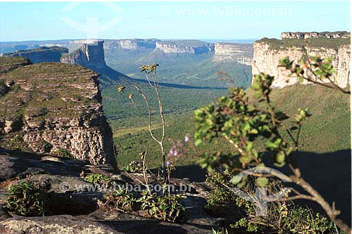  Canion  - Chapada Diamantina - Bahia - Brasil - Janeiro 2006  - Bahia - Brasil