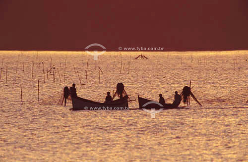  Pescadores de descendência portuguesa no litoral de Laguna com redes de camarão - SC - sul do Brasil

  - Laguna - Santa Catarina - Brasil