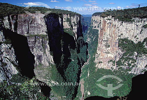  Região do Parque dos Aparados da Serra mostrando seus paredões de até 720 m de profundidade - Cânion do Itaimbezinho - RS - sul do Brasil - 1996



  - Rio Grande do Sul - Brasil