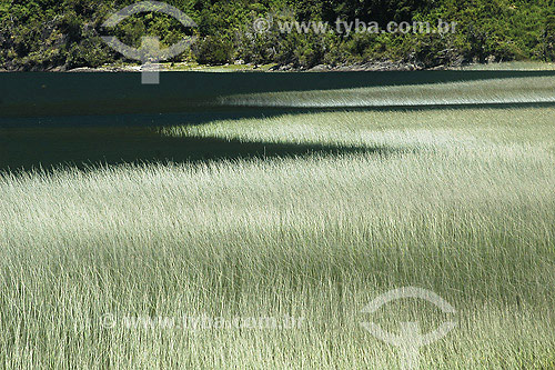  Lago maihue - Patagonia - Chile 