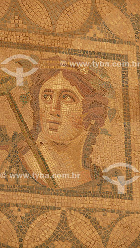  Mosaico de habitações romanas - Ephesus - 100 anos DC - Turquia - Outubro de 2007 