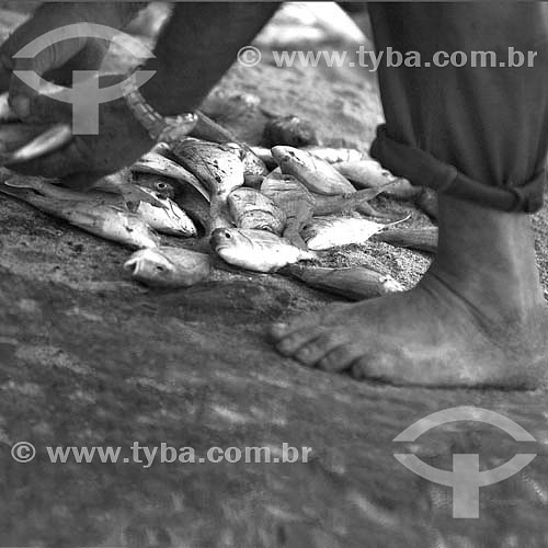  Detalhe de mãos de pescador apanhando peixes do chão - Barra de Guaratiba, litoral sul do RJ, próxima à Restinga da Marambaia - Rio de Janeiro - Brasil  foto digital  - Rio de Janeiro - Rio de Janeiro - Brasil