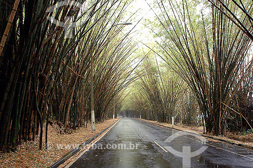  Aeroporto de Salvador - BA - Brasil  - Salvador - Bahia - Brasil