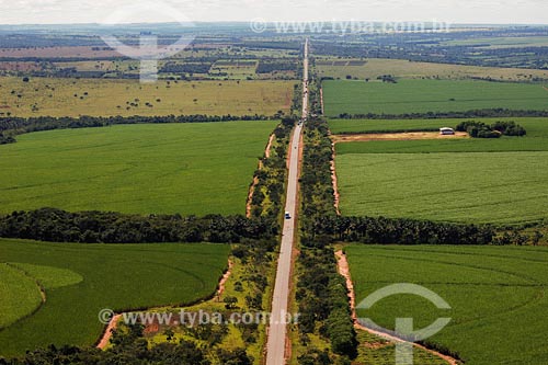  Assunto:estrada BR 365 no trecho Uberlândia-Canápolis, rodeada  por plantação de cana de açucar.

Local: Minas Gerais- MG

Data: Março de 2008 