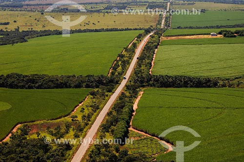  Assunto:estrada BR 365 no trecho Uberlândia-Canápolis, rodeada  por plantação de cana de açucar.

Local: Minas Gerais- MG

Data: Março de 2008 