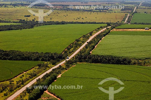  Assunto:estrada BR 365 no trecho Uberlândia-Canápolis, rodeada  por plantação de cana de açucar.

Local: Minas Gerais- MG

Data: Março de 2008 