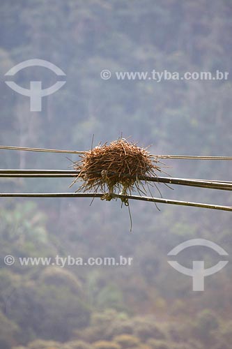  Ninho de pássaro em cabo elétrico (fio de alta tensao) - Rio de Janeiro  - Cabo Frio - Rio de Janeiro - Brasil