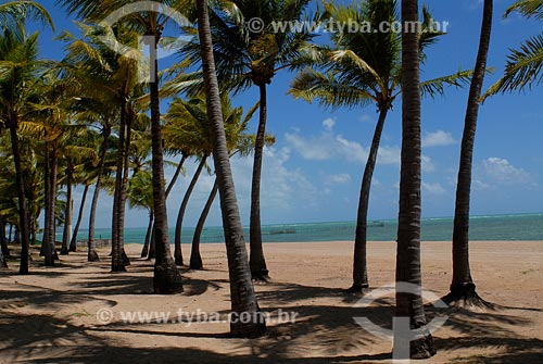  Assunto:  praia Ponta Verde / Local: Maceió - AL / Data: novembro 2007 