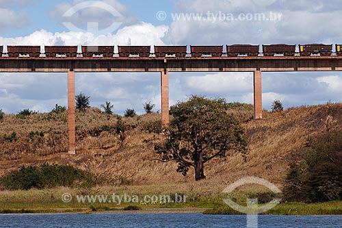  Assunto: Trem de carga da EFC (Estrada de ferro Carajás) na Ponte do 40, ponto turístico de Açailandia / Local: MA / Data: 08/2008 