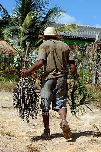  Assunto: Homem segurando cacho de açaí / Local: Recanto dos Colibrís - Vila Palmares 1 - Parauapebas - PA / Data: 08/2008 