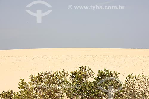  Assunto: Detalhes de Dunas / Local: São Gonçalo do Amarante - Ceará (CE) - Brasil / Data: Janeiro de 2009 