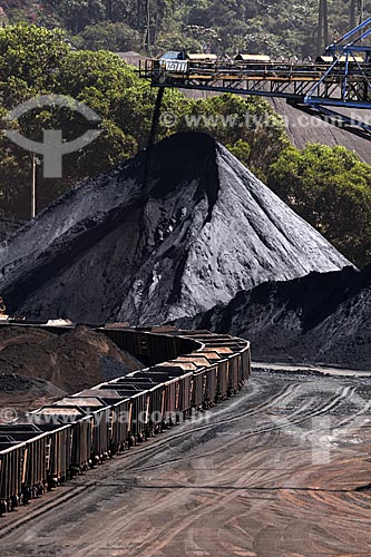  Assunto: Carregamento de minério de ferro nos vagões de trem para transporte ferroviário - Mina da Fábrica Nova- Mina Alegria - Complexo de Mariana / Local: Minas Gerais (MG) - Brasil / Data: 20/04/2009 