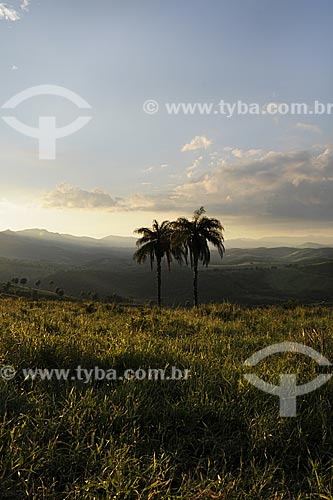  Assunto: Paisagem com palmeiras, próximo à Pedra Pintada e Barão de Cocais na Serra do Espinhaço / Local: Minas Gerais (MG) - Brasil / Data: 22/04/2009 