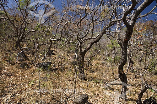  Assunto: Parque Nacional da Chapada dos Veadeiros / 
Local: Goiás (GO) - Brasil / 
Data: Julho de 2007 