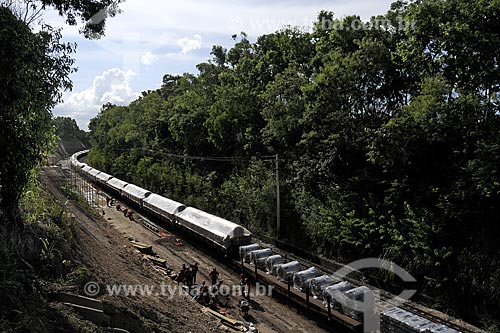  Assunto: Composição de trens da Vale carregada de bobinas de aço - Estrada de Ferro Vitória-Minas, na altura do bairro de Campina, próximo à BR 101 /
Local: Serra - ES /
Data: Março de 2008 