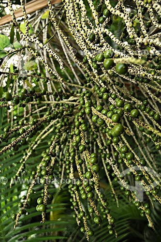cd204_186.JPG