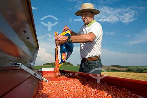  Assunto: Airton Luis Albertoni, pequeno produtor da cidade de Xanxerê desensacando grãos de milho / Local: Xanxerê - Santa Catarina (SC) - Brasil / Data: Setembro de 2008 