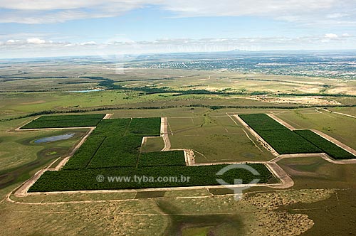  Assunto: Vista aérea de projeto de reflorestamento perto de Boa Vista  / Local:  Roraima - Brasil  / Data: Janeiro de 2006  