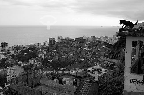  Assunto: Silhueta de cachorro sobre telhado de casa no Morro Pavão Pavãozinho com prédios do bairro de Ipanema ao fundo / Local: Rio de Janeiro / Data: outubro 2009 