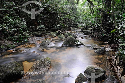  Assunto: Parque Nacional da Tijuca / Local: Rio de Janeiro - RJ - Brasil  / Data: maio 2009 