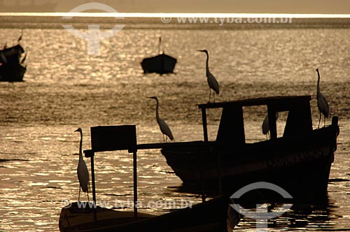  Assunto: Barcos de pesca na Baía de Guanabara durante o pôr do sol  / Local:  São Gonçalo - Rio de Janeiro (RJ) - Brasil  / Data: 01/2007 